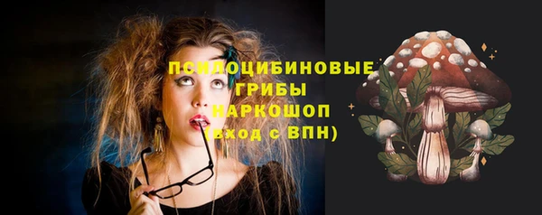 экстази Дмитриев