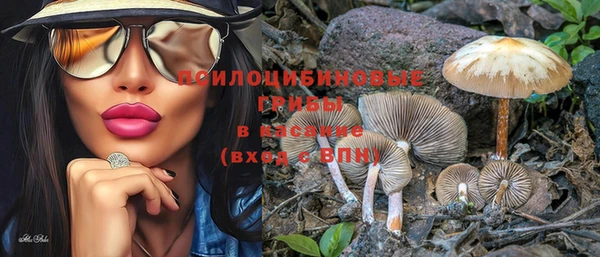 экстази Дмитриев